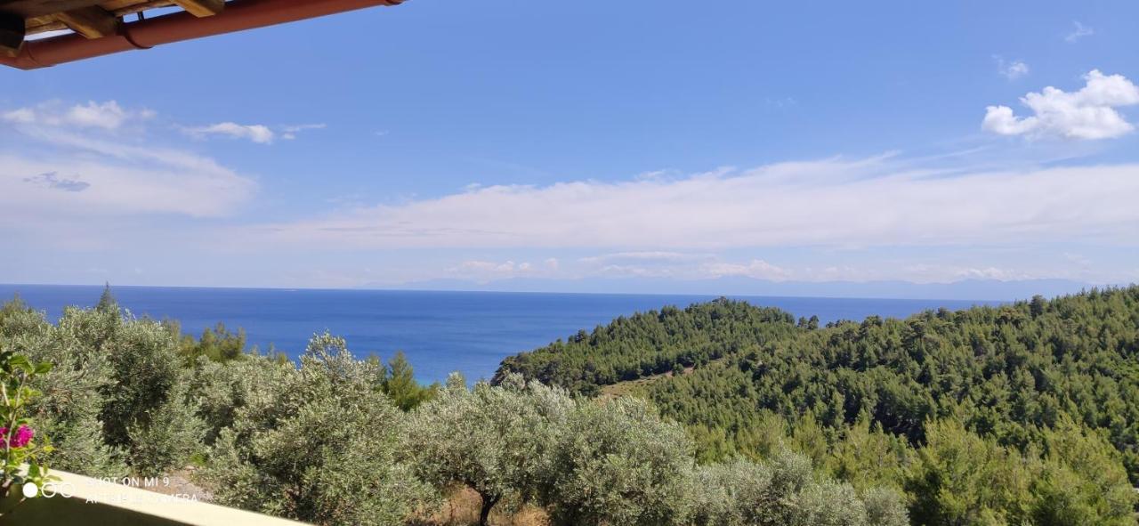 Elia House 1 Astoning Sea View Among The Olive Trees Apartment Patitírion Exterior photo