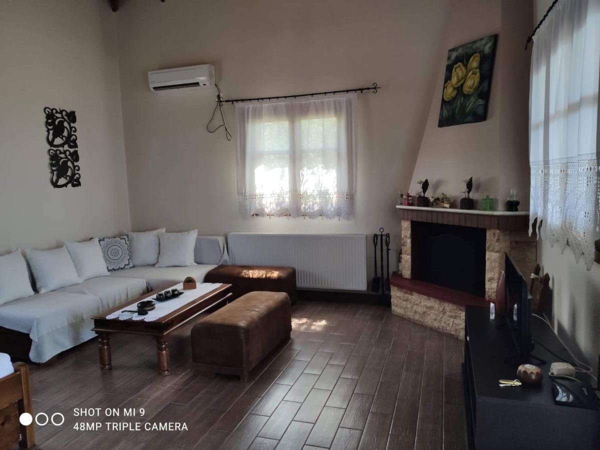 Elia House 1 Astoning Sea View Among The Olive Trees Apartment Patitírion Exterior photo