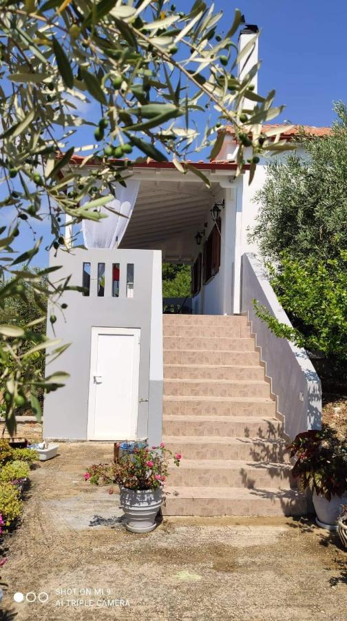 Elia House 1 Astoning Sea View Among The Olive Trees Apartment Patitírion Exterior photo